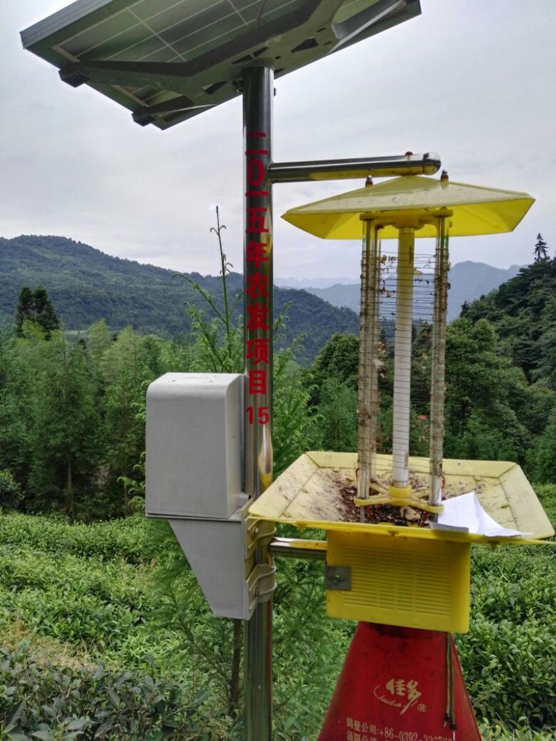 川茶一级