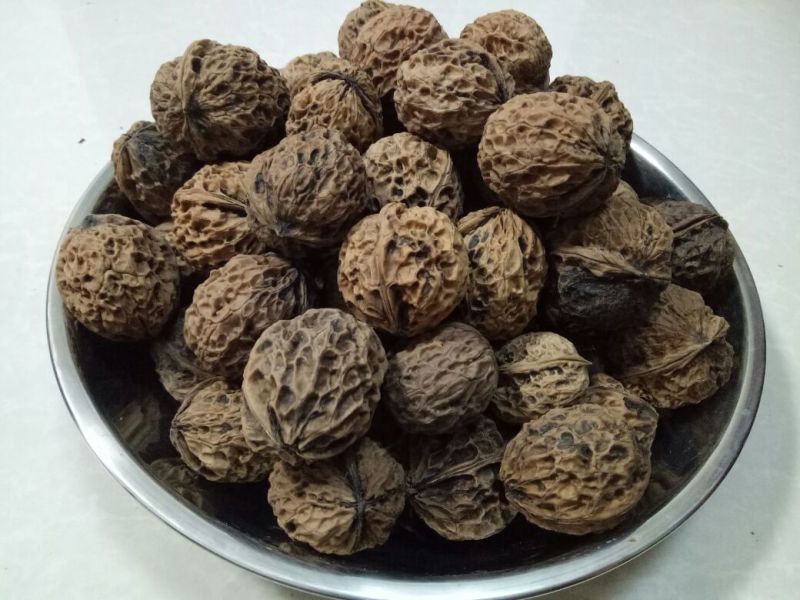 山核桃去皮干
