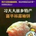 柿饼1~2两