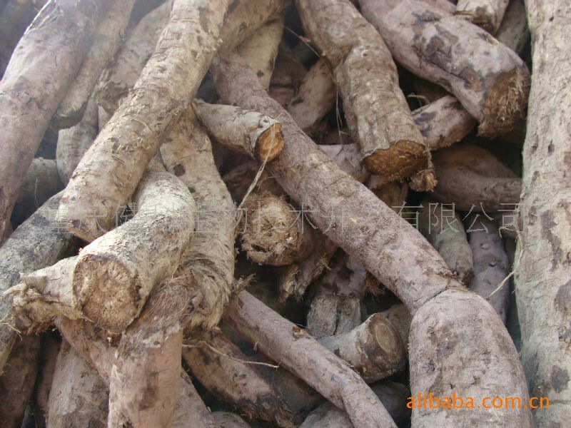 葛根粉