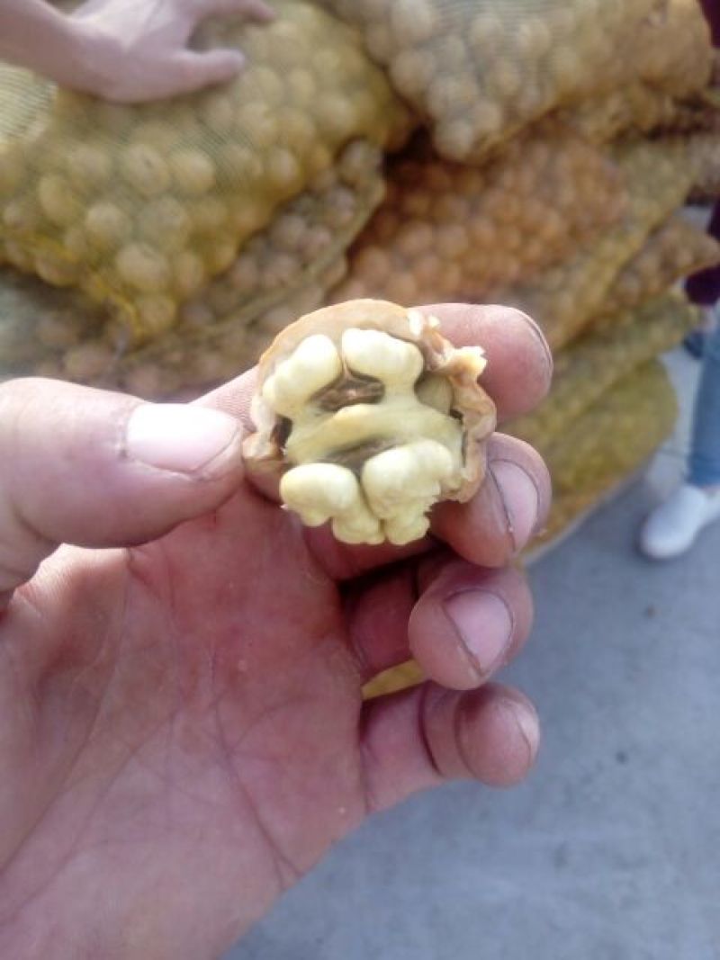 青皮核桃30mm以上去皮