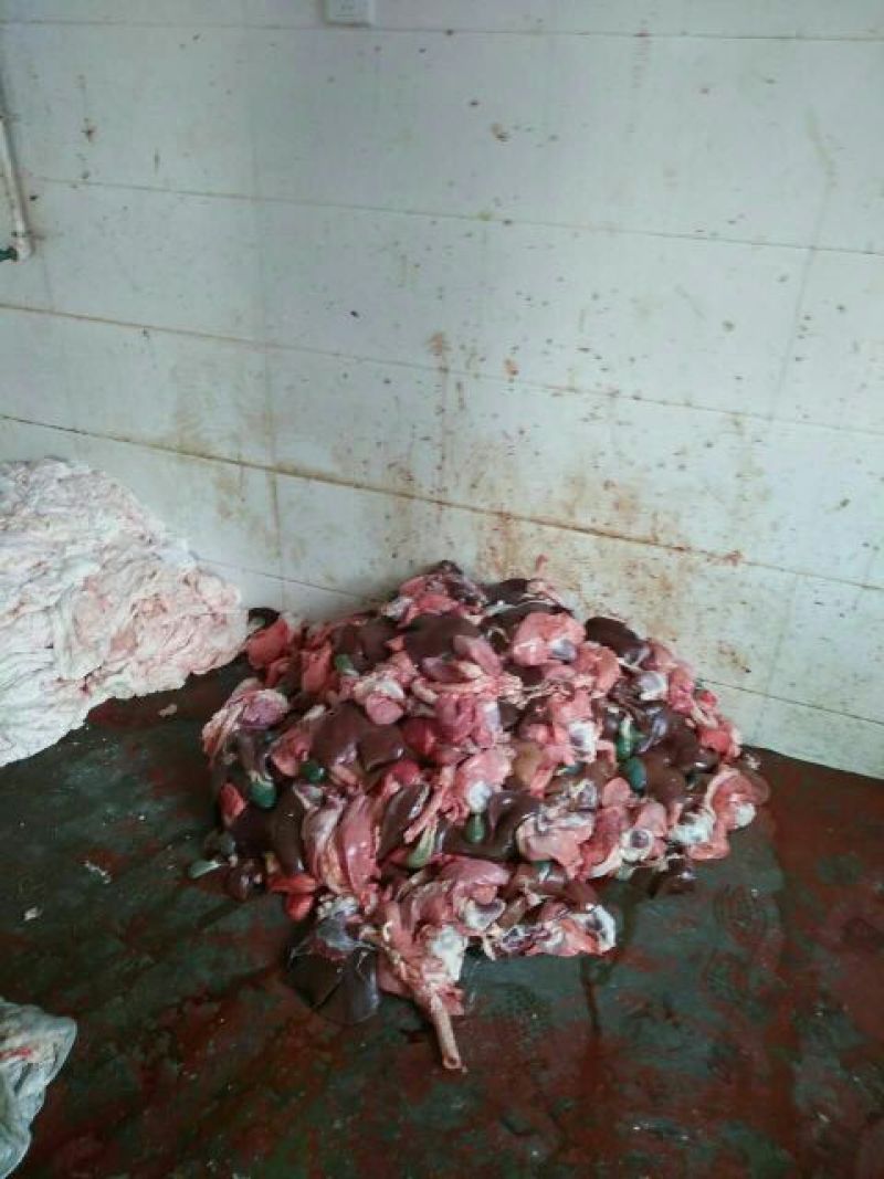 羊肚散装