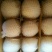 酥梨100~150g纸袋