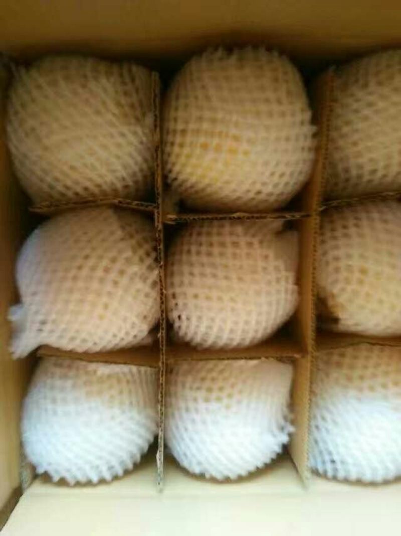 酥梨100~150g纸袋