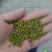 杂绿豆