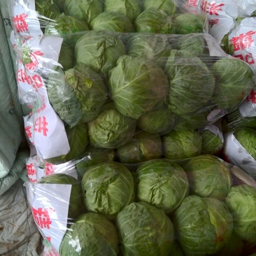 我处甘蓝大量供应，品质好，备有大型冷库，物流交通方便，欢