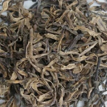 地龙干统货