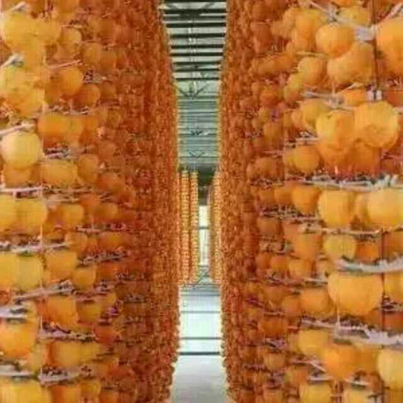柿饼1~2两