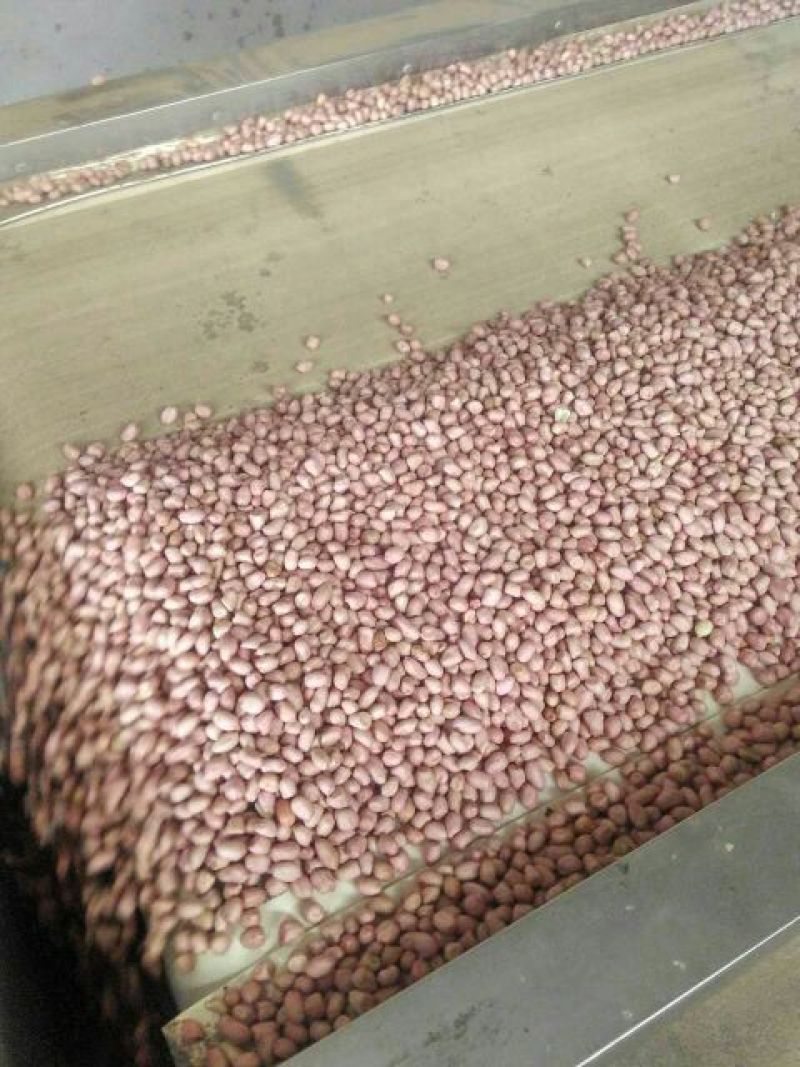 花生米白皮