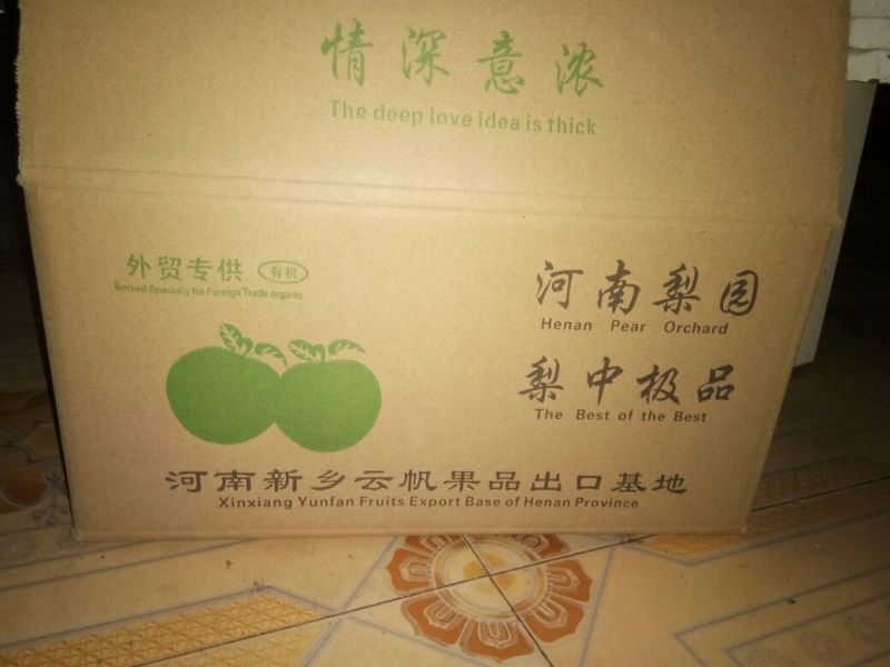 晚秋黄梨60~100g纸箱
