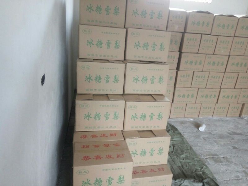 雪花梨200~250g纸袋