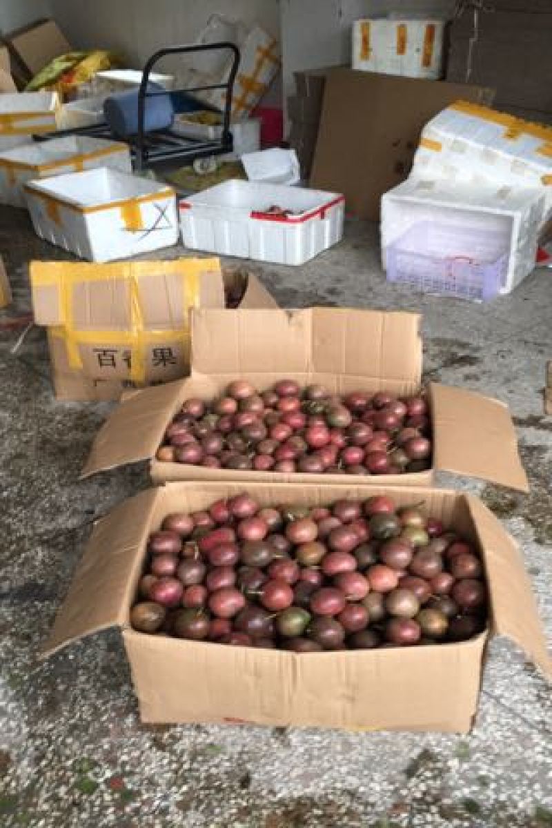 百香果