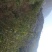 冬枣树苗，山西枣树苗2cm以下4~6cm，占地枣树