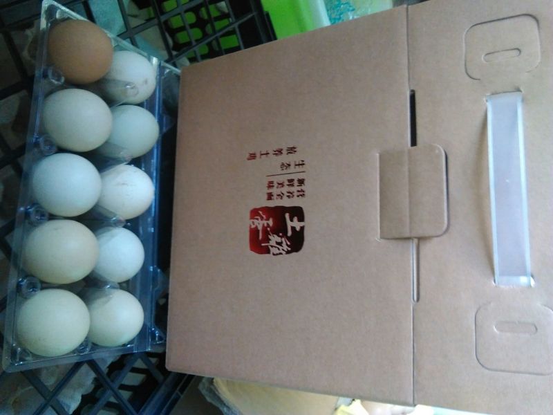 绿壳鸡蛋食用50g以下