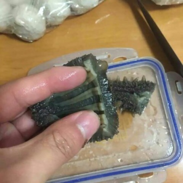 海刺参食用冰冻