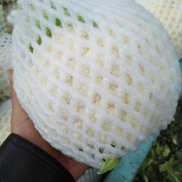 白花菜包装