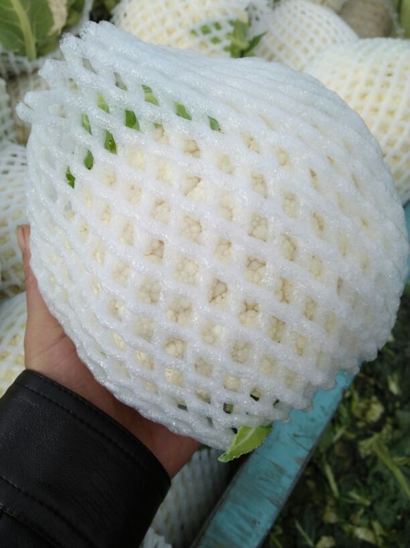 白花菜包装