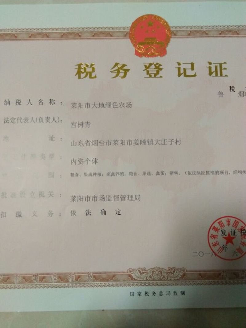 秋月梨400~450g纸箱