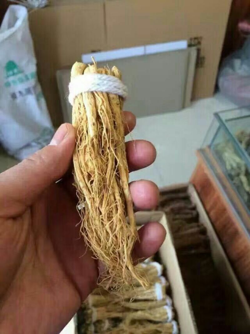 人参干