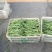 蛇豆大量上市欢迎新老客户选购