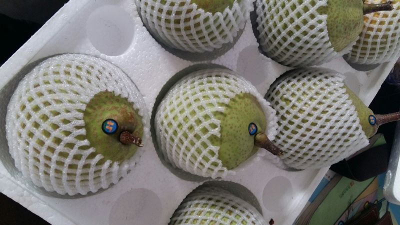 莱阳梨350~400g光果