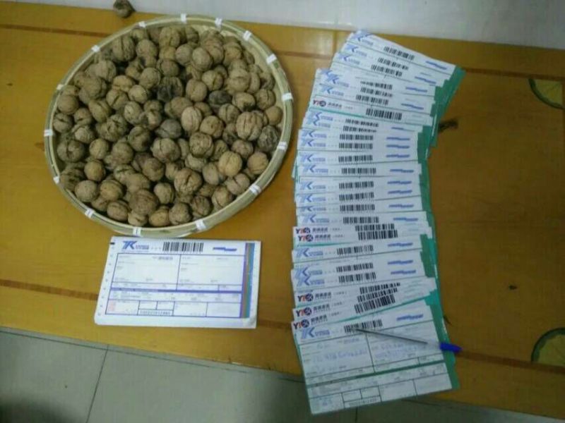 核桃去皮干