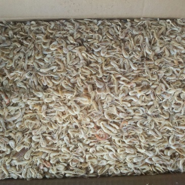虾皮