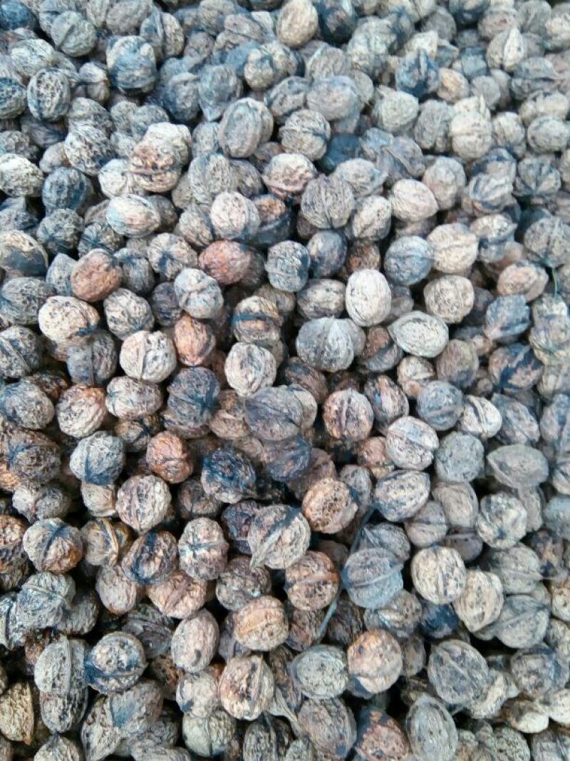 铁核桃去皮