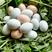 绿壳鸡蛋食用50~60g