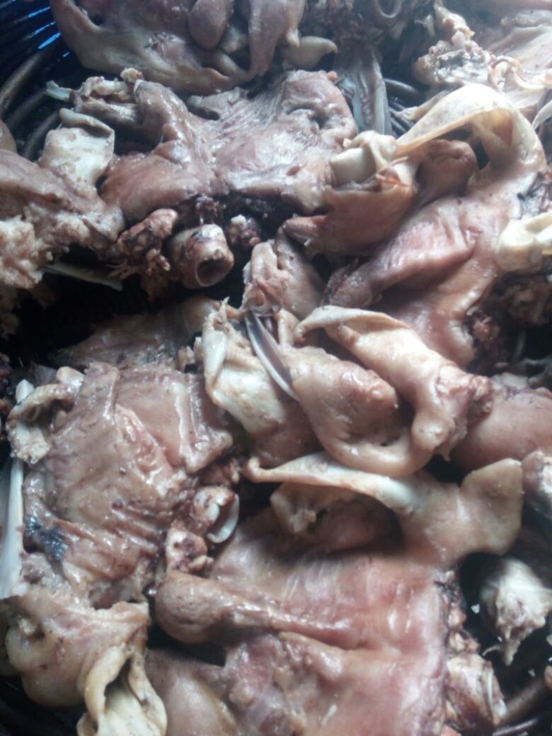 禽畜牧蛋肉