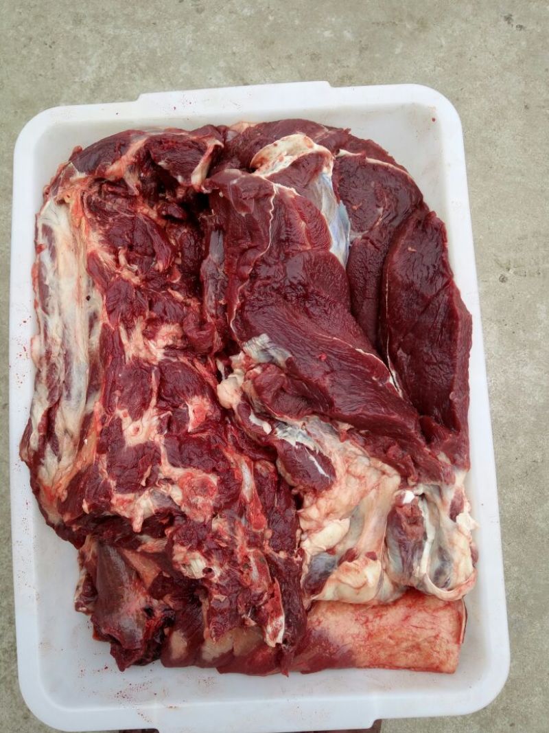 驴肉
