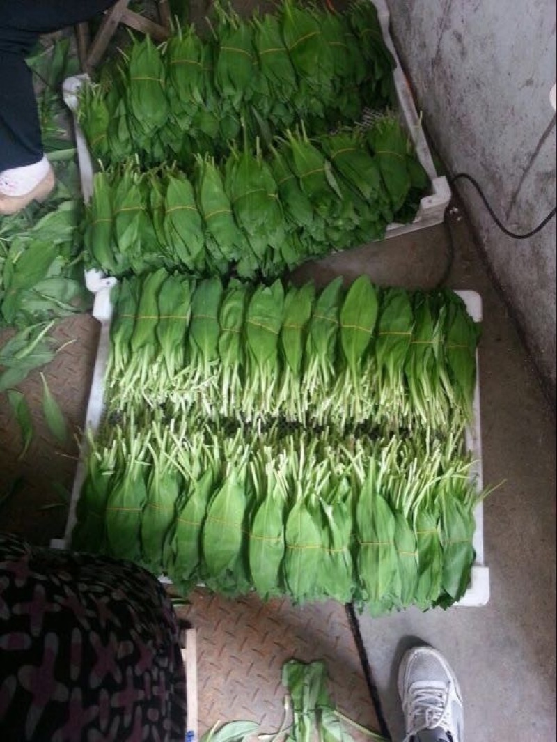 山野菜