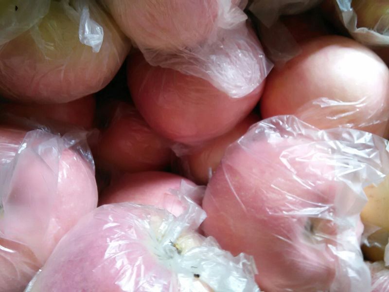 红富士苹果75mm以上膜袋