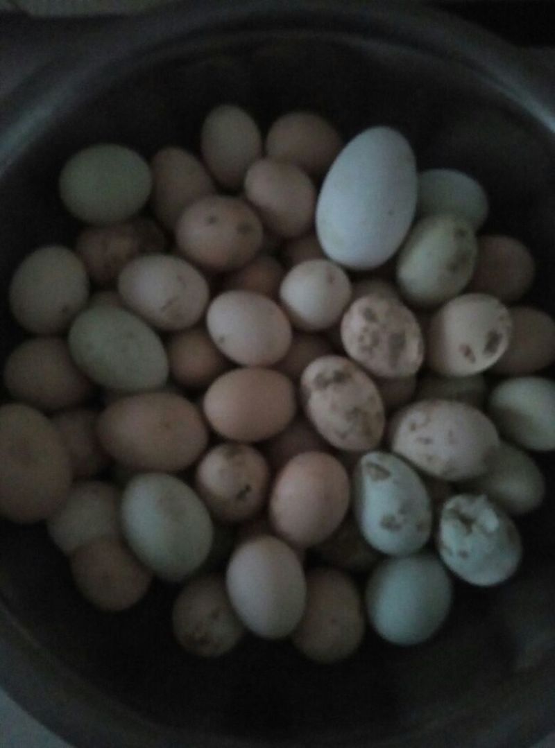 土鸡蛋食用50g以下