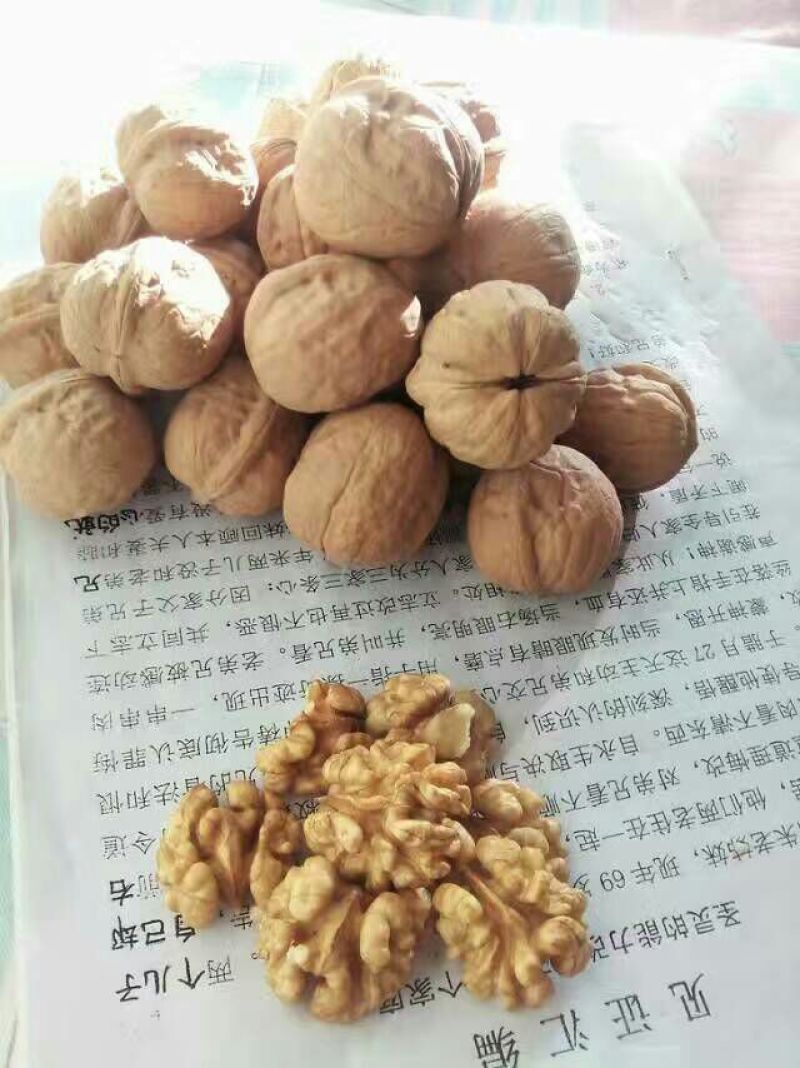 纸皮核桃去皮干