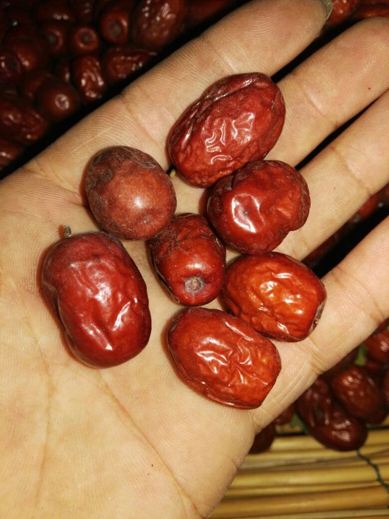 金丝小枣干枣一级
