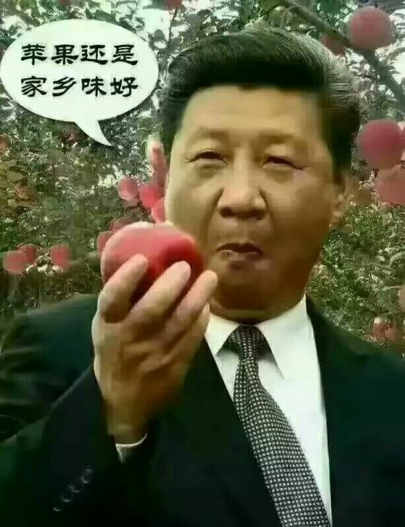 红富士苹果75mm以上纸+膜袋