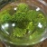 三七花无柄