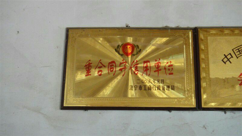 瓦灰鸽公