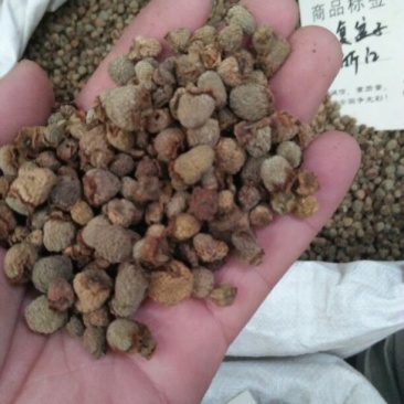 覆盆子
