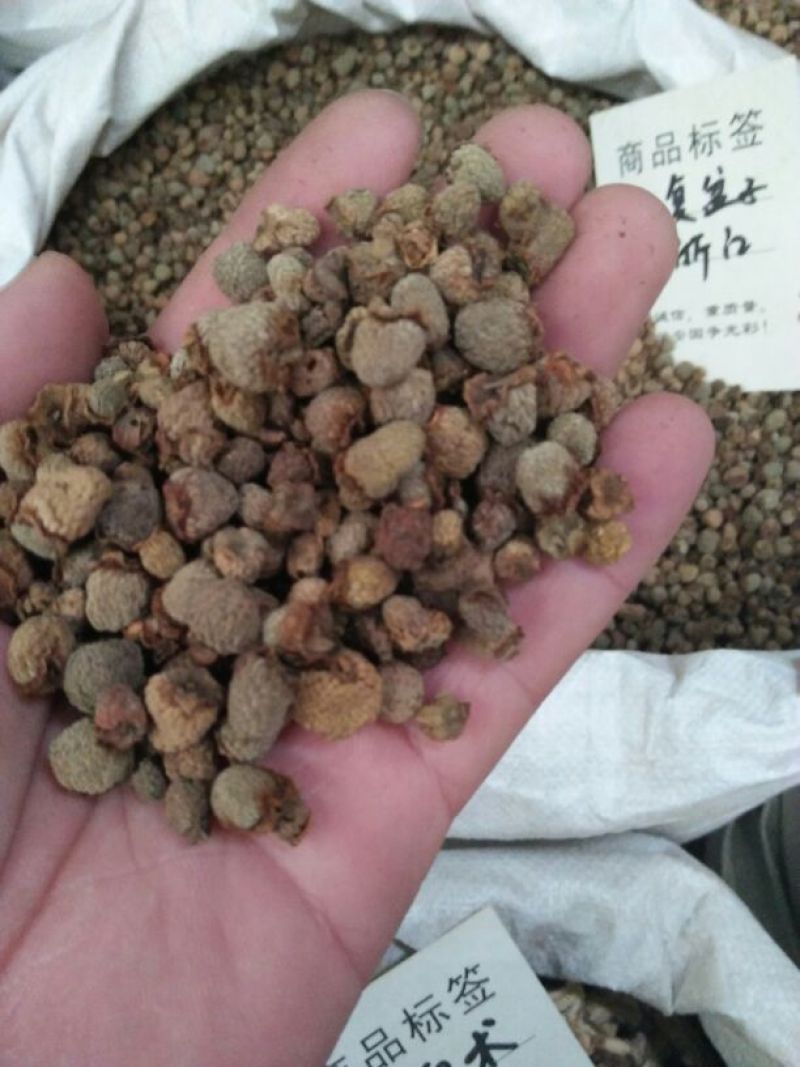 覆盆子