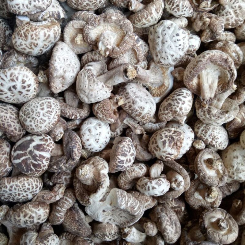 花菇3cm以下