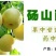 酥梨250~300g膜袋