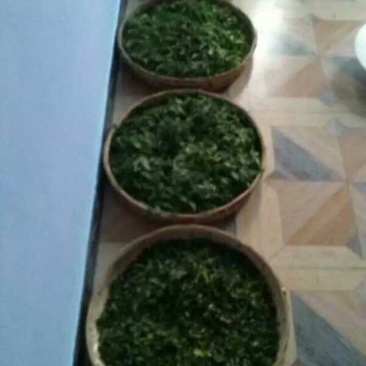古树茶