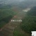 生态甲鱼1.5~2斤