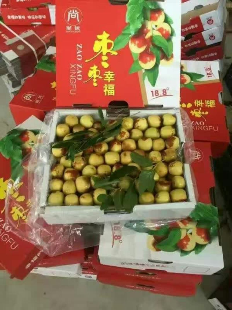 陕西大荔冬枣批发，陕西冬枣价格。