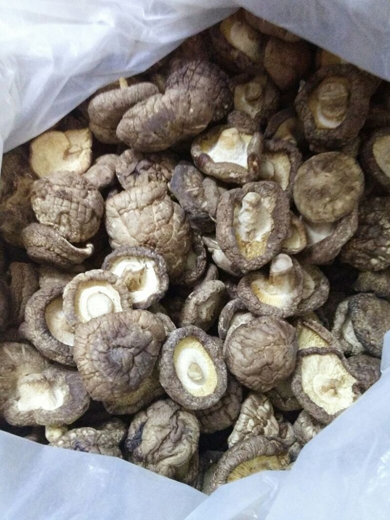 干香菇