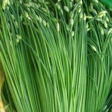 韭菜头茬