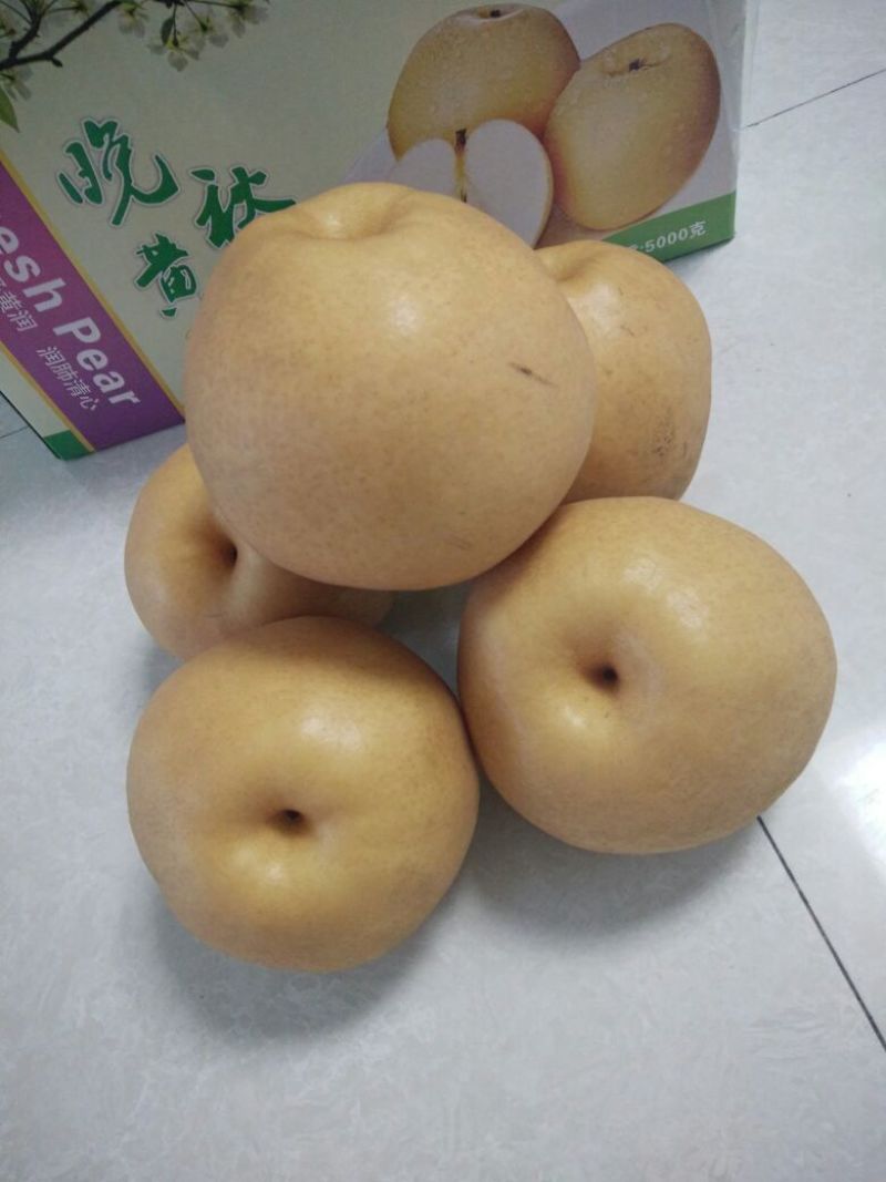 富硒梨500~550g纸箱