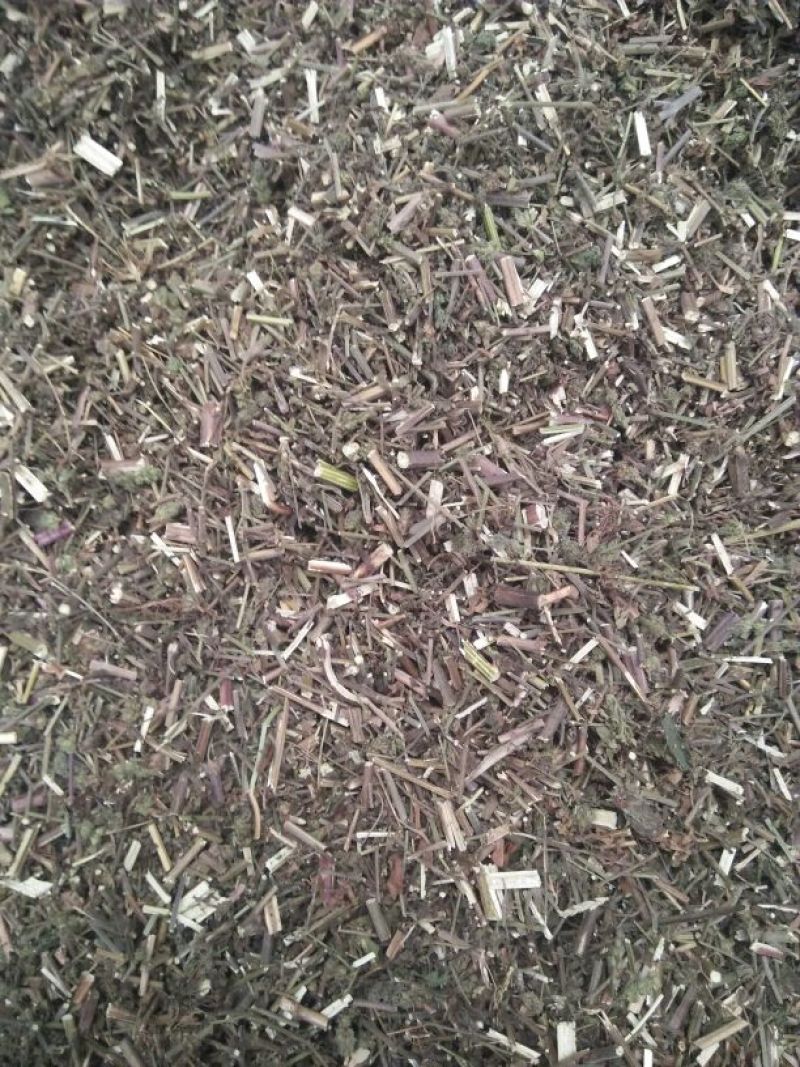 荆芥统片